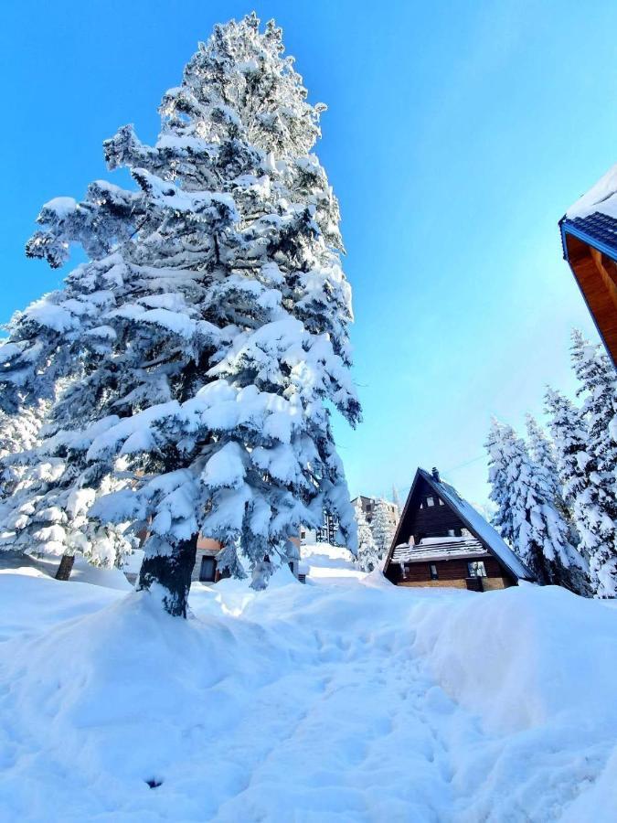 Ferienwohnung Jahorina 7Lux Exterior foto