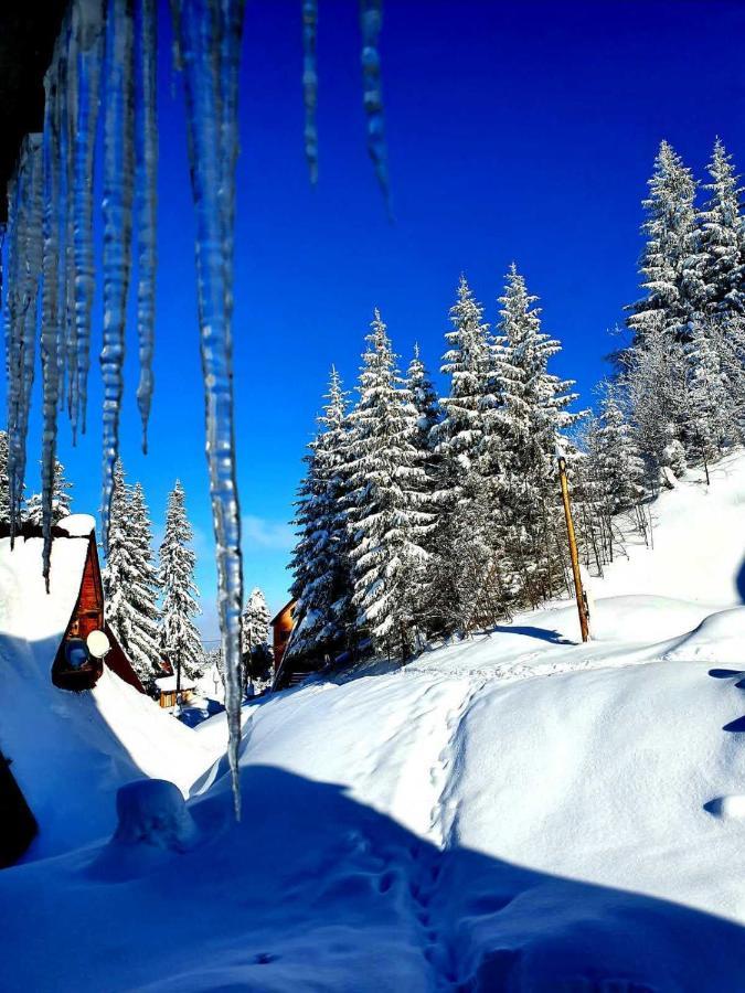 Ferienwohnung Jahorina 7Lux Exterior foto